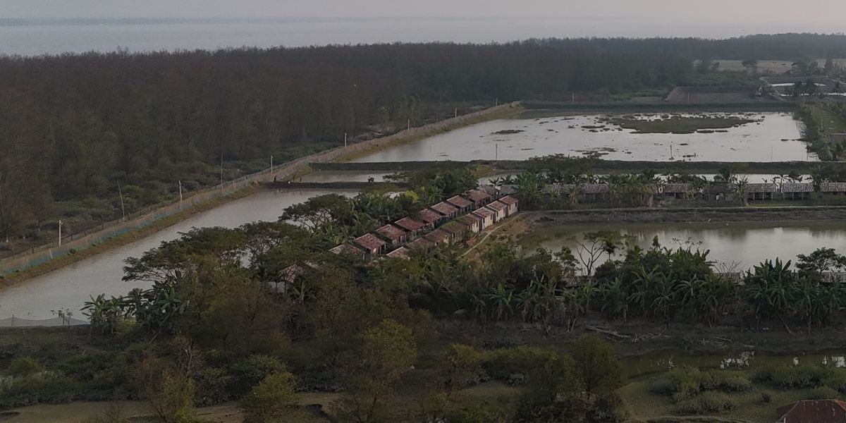 Meghara fish ponds and on-site buildings along the forest edge in Manpura, Bhola