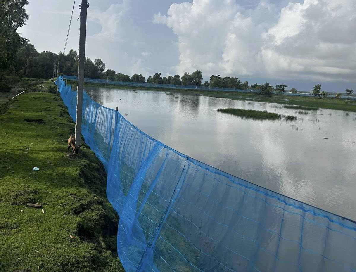 Perimeter netting and CCTV on a Meghara pond embankment