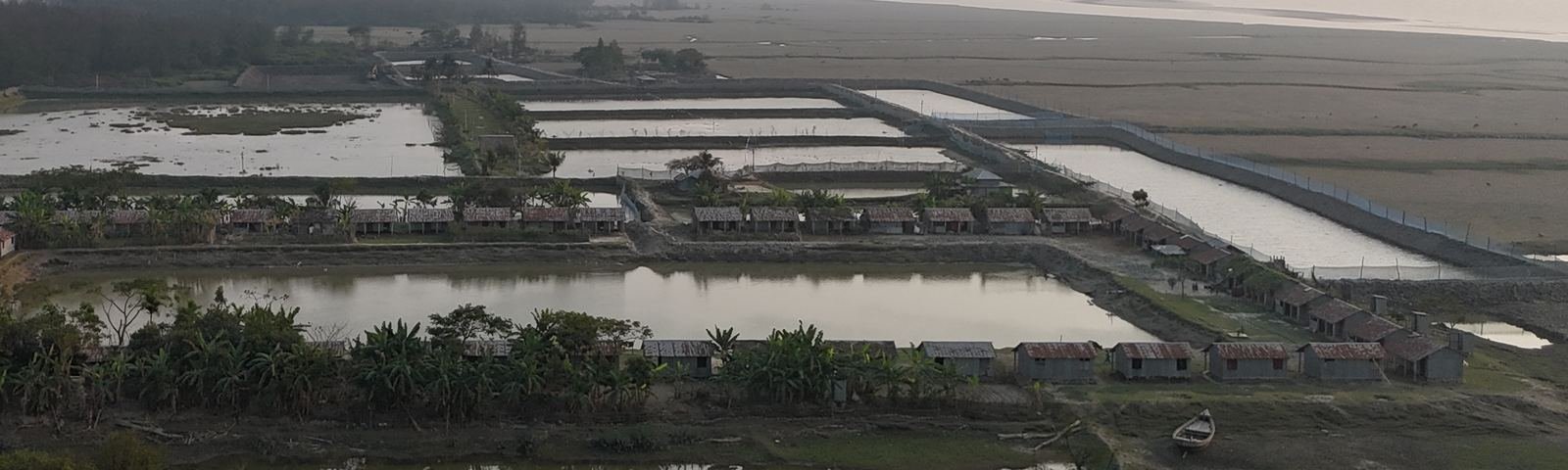 Grow-out ponds and on-site buildings
